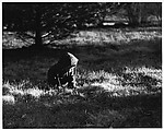 [Boy Wearing Hooded Jacket, Seated in Grass], Ralph Eugene Meatyard  American, Gelatin silver print