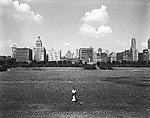 Chicago, Harry Callahan American, Gelatin silver print
