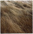 Horseneck Beach, Harry Callahan  American, Dye transfer print