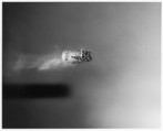 [Pellets Fired From Shotgun Still Partially Within Casing], Harold Edgerton  American, Gelatin silver print