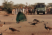 A Village Bus Stop, Barmer, Rajasthan, Raghubir Singh Indian, Chromogenic print