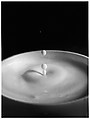 [Milk Drop Falling Into Reservoir of Milk (9/9)], Harold Edgerton  American, Gelatin silver print