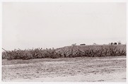 [Fortifications at City Point, Virginia], Unknown (American), Albumen silver print from glass negative