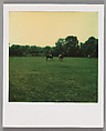 [Polo Match], Walker Evans  American, Instant internal dye diffusion transfer print (Polaroid SX-70)