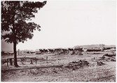 [The Lone Graves at Warren Station, in Front of Petersburg, Virginia], Timothy H. O'Sullivan  American, born Ireland, Albumen silver print from glass negative