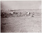 [Distant View of Fort Brady, Virginia], William Frank Browne  American, Albumen silver print from glass negative
