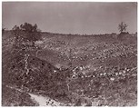 [Camp of Confederate Prisoners at Belle Plain Landing, Virginia, Captured with Johnson's Division], Timothy H. O'Sullivan  American, born Ireland, Albumen silver print from glass negative
