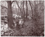[View on Rapidan River, Virginia], Timothy H. O'Sullivan  American, born Ireland, Albumen silver print from glass negative