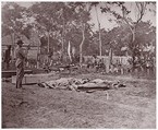 Burial of the Dead, Fredericksburg, Andrew Joseph Russell American, Albumen silver print from glass negative