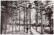 [Convalescent Camp near Alexandria, Virginia], Unknown (American), Albumen silver print from glass negative
