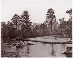 [Fallen Tree, Bull Run, Virginia], George N. Barnard  American, Albumen silver print from glass negative