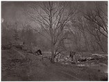 Ruins of RR Bridge. Bull Run, Unknown (American), Albumen silver print from glass negative