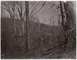 Bull Run, Virginia, George N. Barnard  American, Albumen silver print from glass negative