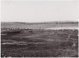 [Winter Quarters of a Cavalry Regiment in the Army of the Potomac, Near Brandy Station, Virginia], Unknown (American), Albumen silver print from glass negative