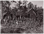 Co. D, 21st Michigan Infantry. Sherman's Volunteers, Unknown (American), Albumen silver print from glass negative