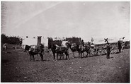 The Crack Team of the 1st Division, 6th Corps near Hazel River, Virginia, Timothy H. O'Sullivan American, born Ireland, Albumen silver print from glass negative