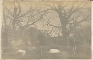 [Collection of British Calotypes and Wood-engravings], William John Newton (British, 1785–1869), Salted paper prints and engravings