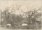 [Collection of British Calotypes and Wood-engravings], William John Newton (British, 1785–1869), Salted paper prints and engravings