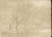 [Collection of British Calotypes and Wood-engravings], William John Newton (British, 1785–1869), Salted paper prints and engravings