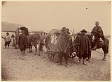 [Group of Indians with Cart and Oxen], Unknown, Albumen silver print