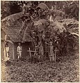 Batavia, Unknown, Albumen silver print from glass negative