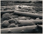 Logs, Rocks, Frost, Yosemite Valley, California, Ansel Easton Adams American, Instant diffusion transfer print (Polaroid Type 55)