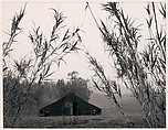 Barn, Bamboo, Laguna Niguel, California, Ansel Easton Adams  American, Instant diffusion transfer print (Polaroid)