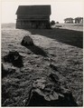 House, Stumps and Pasture, Mendocino, California, Ansel Easton Adams  American, Instant diffusion transfer print (Polaroid)