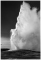 Old Faithful Geyser, Yellowstone National Park, Wyoming, Ansel Easton Adams  American, Gelatin silver print
