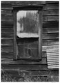 Window, Bear Valley, California, Ansel Easton Adams American, Gelatin silver print