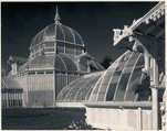 Conservatory, Golden Gate Park, San Francisco, California, Ansel Easton Adams  American, Instant diffusion transfer print (Polaroid)