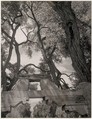Gate, Pojoaque Road, New Mexico, Ansel Easton Adams  American, Instant diffusion transfer print (Polaroid)