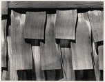 Shingles, Yosemite Valley, California, Ansel Easton Adams  American, Instant diffusion transfer print (Polaroid)