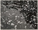 Foam, Mirror Lake, Yosemite Valley, California, Ansel Easton Adams American, Instant diffusion transfer print (Polaroid)