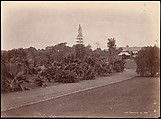 Botanical Garden, Unknown, Albumen silver print from glass negative
