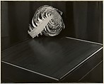 Cabbage, Johan Hagemeyer American, born The Netherlands, Gelatin silver print