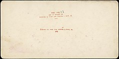 [Group of 14 stereographs of Africa and Actors], Kilburn Brothers (American, active ca. 1865–1890), Albumen silver prints