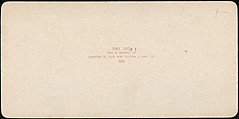 [Group of 107 Stereograph Views of Animals], Keystone View Company, Albumen silver prints