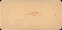 [Group of 107 Stereograph Views of Animals], Keystone View Company, Albumen silver prints