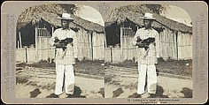 [Group of 107 Stereograph Views of Animals], Keystone View Company, Albumen silver prints