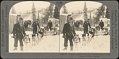 [Group of 107 Stereograph Views of Animals], Keystone View Company, Albumen silver prints