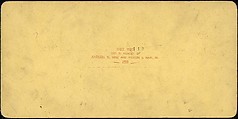 [Group of 107 Stereograph Views of Animals], Keystone View Company, Albumen silver prints