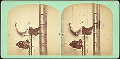 [Group of 107 Stereograph Views of Animals], Keystone View Company, Albumen silver prints