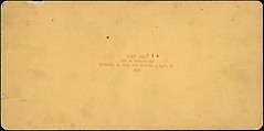 [Group of 107 Stereograph Views of Animals], Keystone View Company, Albumen silver prints