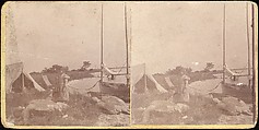 [Group of 107 Stereograph Views of Animals], Keystone View Company, Albumen silver prints