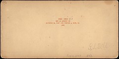 [Group of 107 Stereograph Views of Animals], Keystone View Company, Albumen silver prints