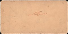 [Group of 107 Stereograph Views of Animals], Keystone View Company, Albumen silver prints