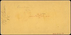 [Group of 107 Stereograph Views of Animals], Keystone View Company, Albumen silver prints