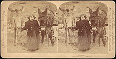 [Group of 107 Stereograph Views of Animals], Keystone View Company, Albumen silver prints