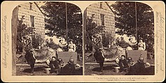 [Group of 107 Stereograph Views of Animals], Keystone View Company, Albumen silver prints